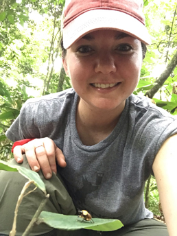 On a recent KU research expedition, Rachel Smith surveyed the land in Suriname, South America, with local and U.S. collaborators and collected specimens to examine in the lab. Photo by Rachel Smith