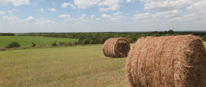 Kansas couple plan to leave 120-acre ranch to University of Kansas - KU ...