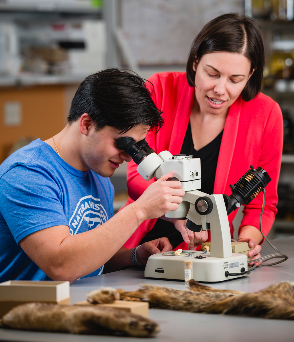 UP CLOSE: Student researchers in the Colella Lab have the opportunity to experience all aspects of research, including investigations of mammal morphology, genomics and parasites and pathogens.
