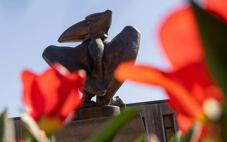 94b7f6d084c067f830327e6f